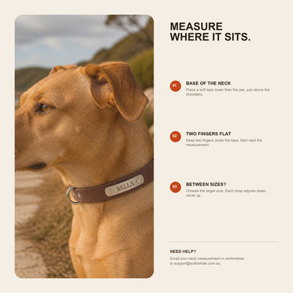 How to measure a dog at the base of the neck for the Sutton Collar