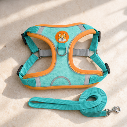 The Everyday Harness Set in aqua and orange with its matching lead